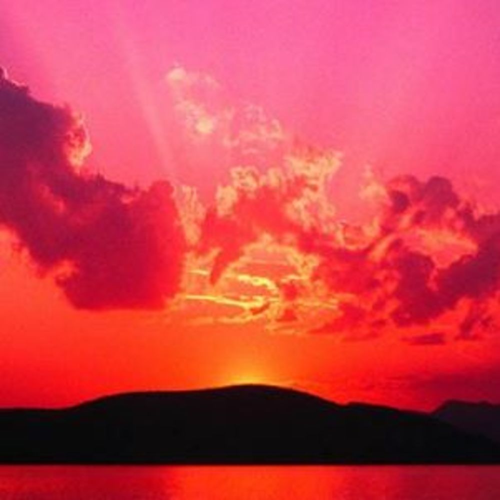 Meet your Posher, Phyllis